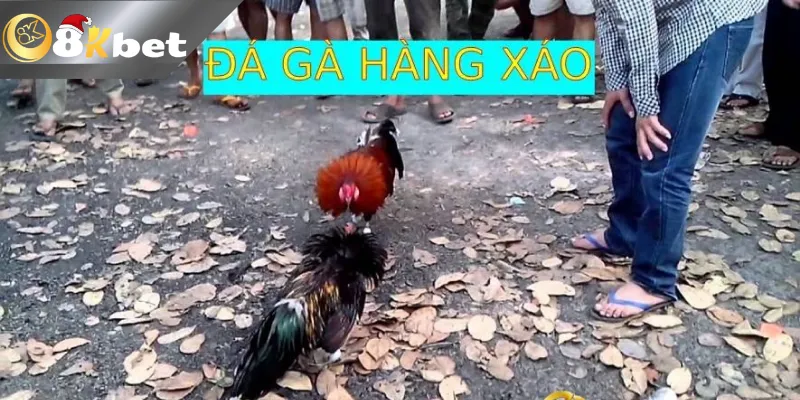 Thuật ngữ đá gà hàng xáo 8kbet là gì?