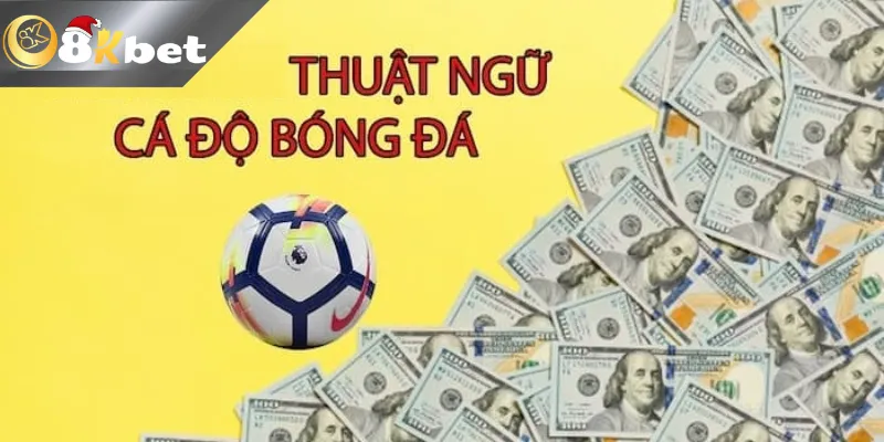 Tổng hợp các thuật ngữ cá độ bóng đá 8kbet ở kèo châu Á